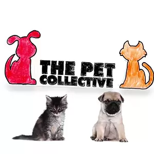 Pet Collective Tv - Watch Live TV - Live TV World